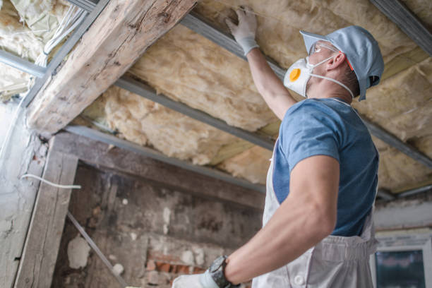 Best Insulation Removal Services  in Ironton, MO
