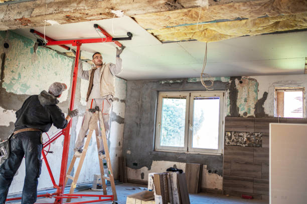 Best Attic Insulation Near Me  in Ironton, MO