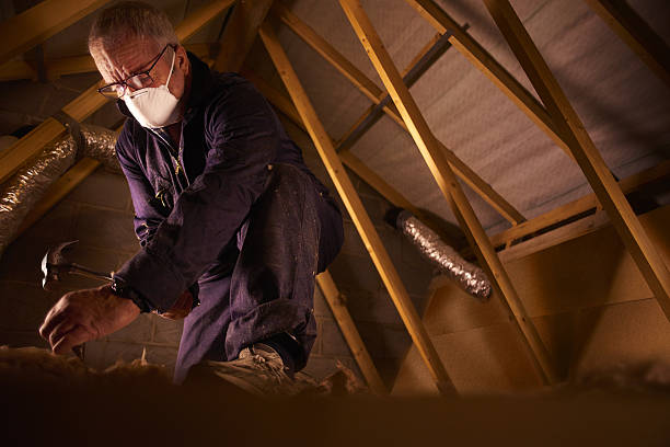 Best Insulation Inspection Services  in Ironton, MO