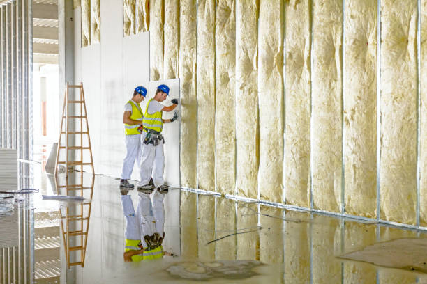Best Insulation Repair Services  in Ironton, MO